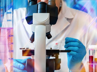 © angellodeco - stock.adobe.com