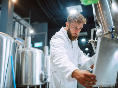 © Dragica - stock.adobe.com