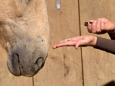 © lichtreflexe - stock.adobe.com